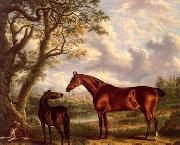 unknow artist Classical hunting fox, Equestrian and Beautiful Horses, 224. Spain oil painting artist